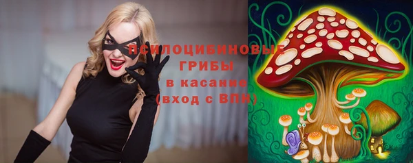 ПСИЛОЦИБИНОВЫЕ ГРИБЫ Богородицк