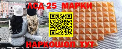 индика Кандалакша