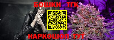 индика Кандалакша