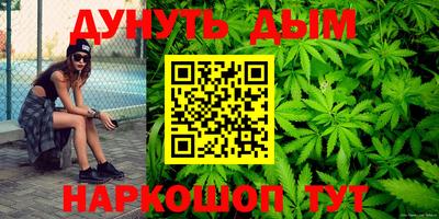индика Кандалакша