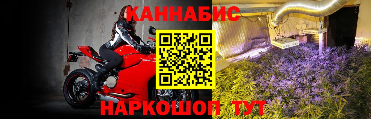 Шишки марихуана OG Kush Туапсе